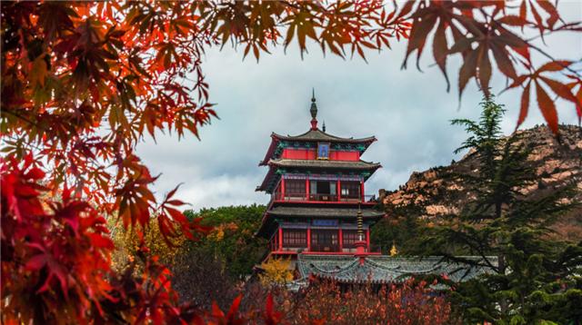 威海冬季旅游必去景点推荐理由，秋日赏红叶进入