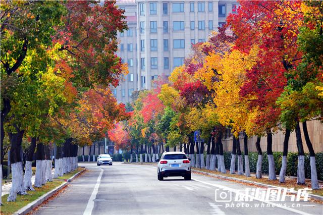 威海冬季旅游必去景点推荐理由，秋日赏红叶进入