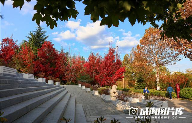 威海冬季旅游必去景点推荐理由，秋日赏红叶进入