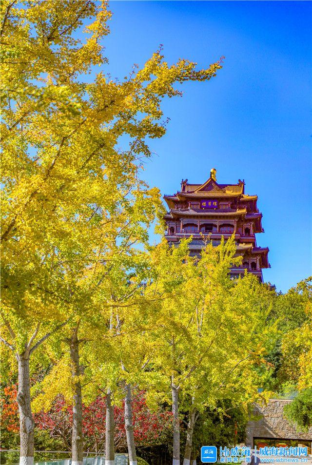 威海冬季旅游必去景点推荐理由，秋日赏红叶进入