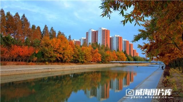 威海冬季旅游必去景点推荐理由，秋日赏红叶进入