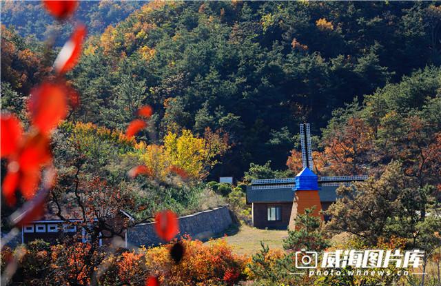 威海冬季旅游必去景点推荐理由，秋日赏红叶进入