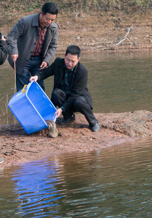 重庆野生动物园，重庆永川野生动物园介绍（比较重庆动物园与野生动物世界）