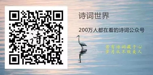 荐号 | 有执着追求的人喜欢看哪些公众号？