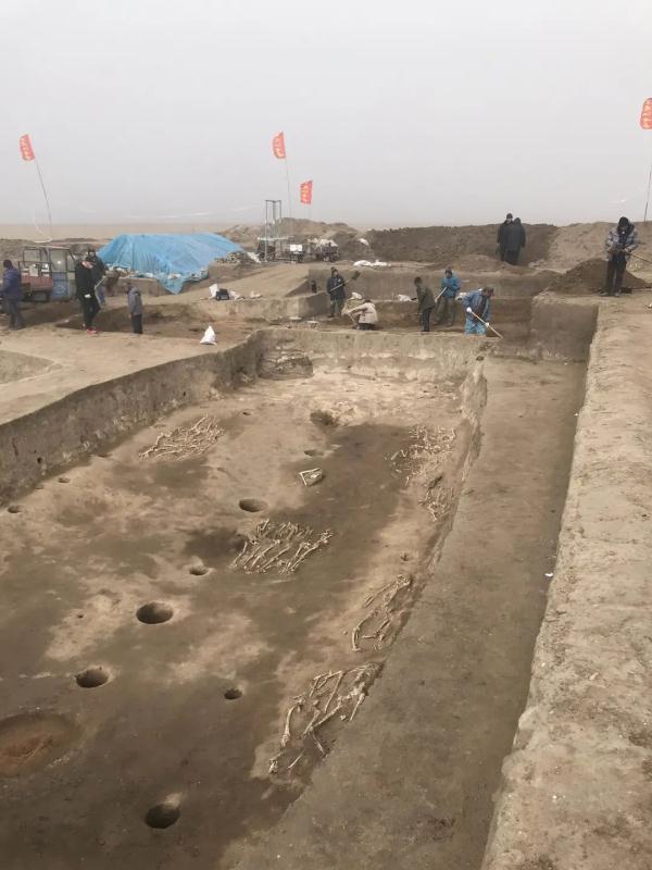 石刃，贵州青龙偃月刀出土