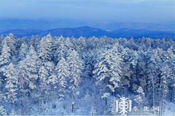 伊春森林体验，森林冰雪欢乐季