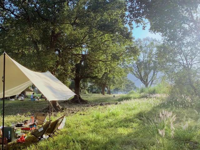 丽水城郊北欧风光，丽水周边风景好的民宿