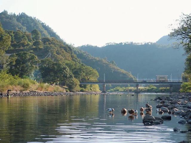 丽水城郊北欧风光，丽水周边风景好的民宿