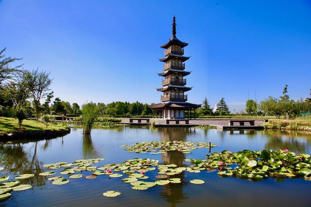 联怡枇杷生态园，上海农家乐包吃住推荐青浦（上海青浦外青松公路特色场地）
