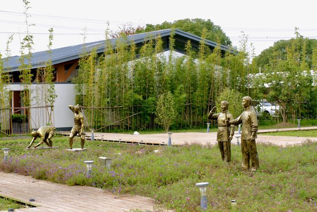 联怡枇杷生态园，上海农家乐包吃住推荐青浦（上海青浦外青松公路特色场地）