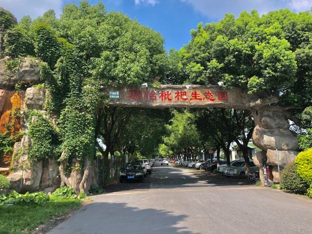 联怡枇杷生态园，上海农家乐包吃住推荐青浦（上海青浦外青松公路特色场地）