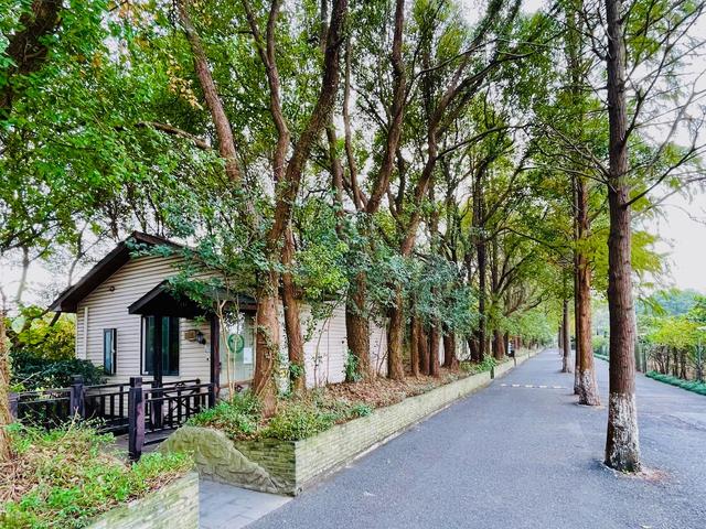 联怡枇杷生态园，上海农家乐包吃住推荐青浦（上海青浦外青松公路特色场地）