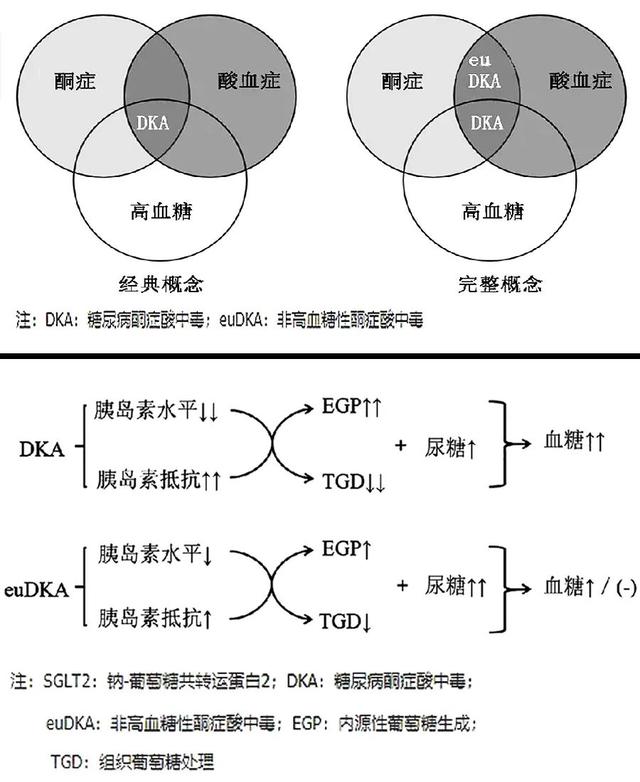 果糖胺正常是糖尿病吗(果糖胺正常糖化高)