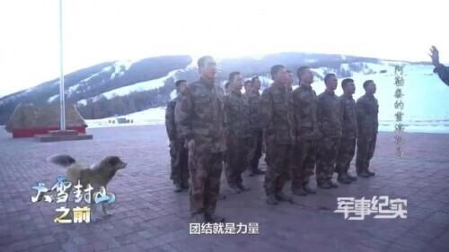 世界上有汪汪队吗，世界上第一个汪汪队（风靡全球的汪汪队来啦）