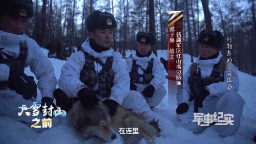 世界上有汪汪队吗，世界上第一个汪汪队（风靡全球的汪汪队来啦）