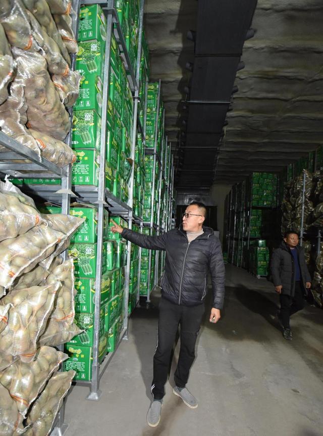 青岛的水果特产有哪些，半岛调查8元1斤