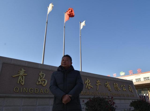 青岛的水果特产有哪些，半岛调查8元1斤