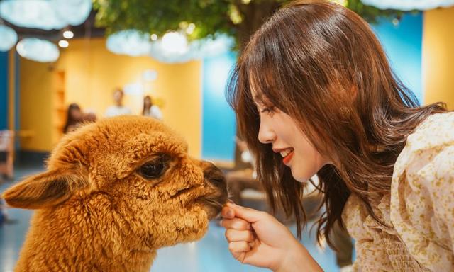 柳州特产有哪些，的柳州人还不知道这件事（柳州有什么特产可以带走的）