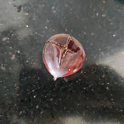 栗子酥皮饼的做法，简单省事懒人菜板栗饼