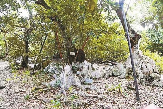 深圳四大古村图，深圳记忆盐灶村