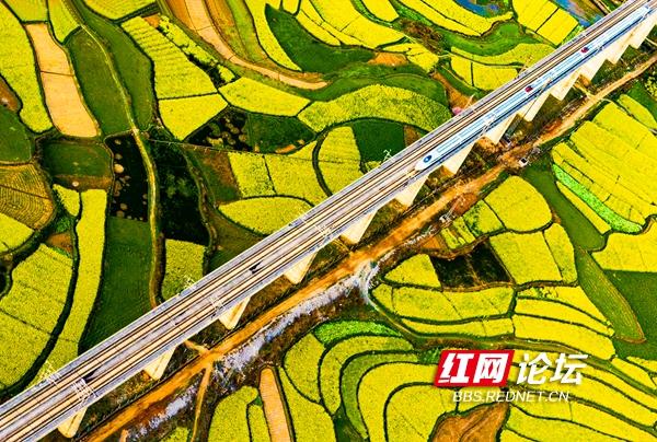 最新怀化高铁规划，湖南这座城市花大代价建高铁新城