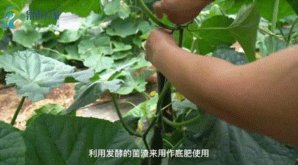 天下第一泉风景区，厦门天下第一泉风景区都有哪个区