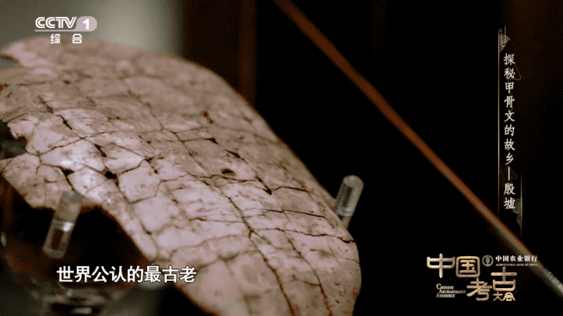 殷墟真实历史简介，殷墟遗址带给我们的惊喜