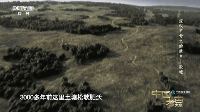 殷墟真实历史简介，殷墟遗址带给我们的惊喜