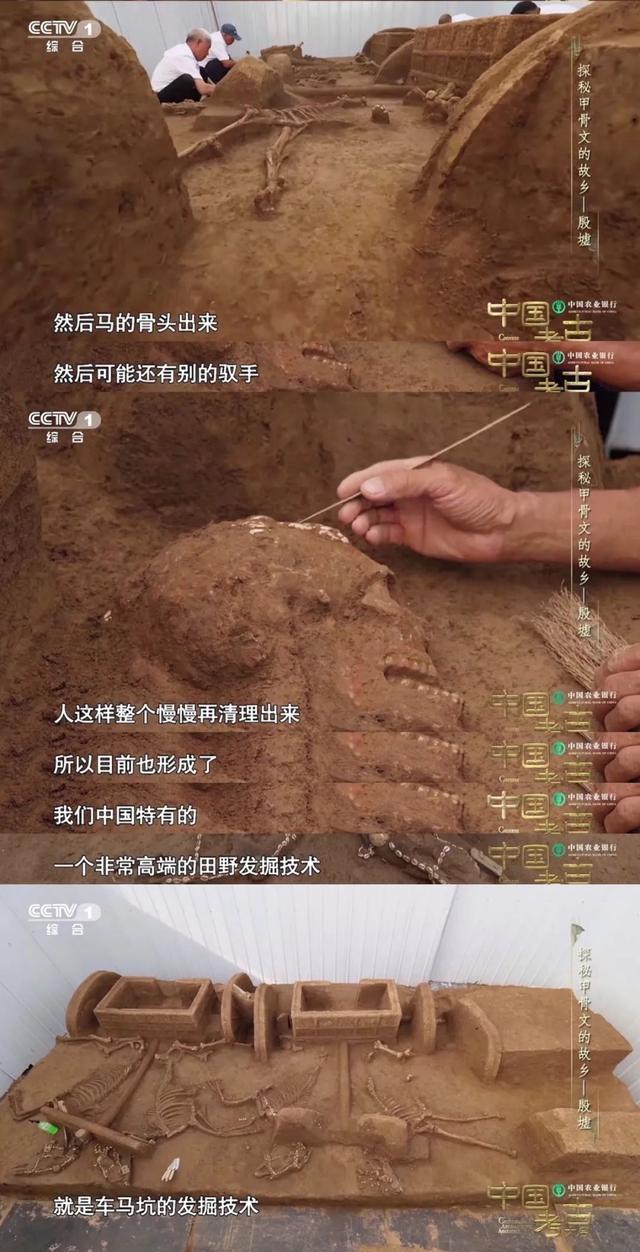 殷墟真实历史简介，殷墟遗址带给我们的惊喜