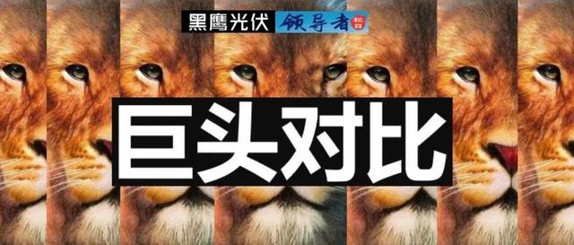 光伏行业十大龙头企业，这家公司刚入局半年就跻身前十