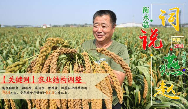 衡水滨湖新区文明城市，衡水市滨湖新区筑牢生态之基助力全国文明城市创建