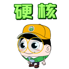 北京纯电动公交车运营，让绿色出行更美好