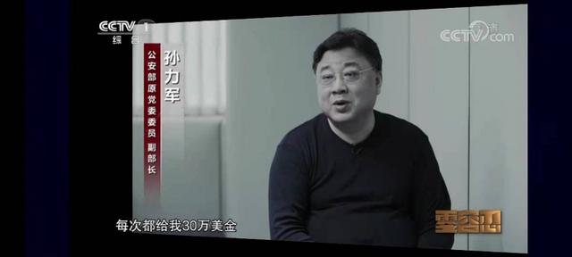 查孙力军的"打虎将"查过多个老虎