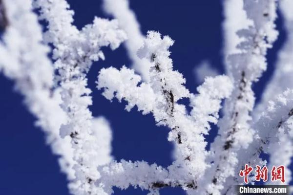 河北省大雪预报，今日大寒河北有雪