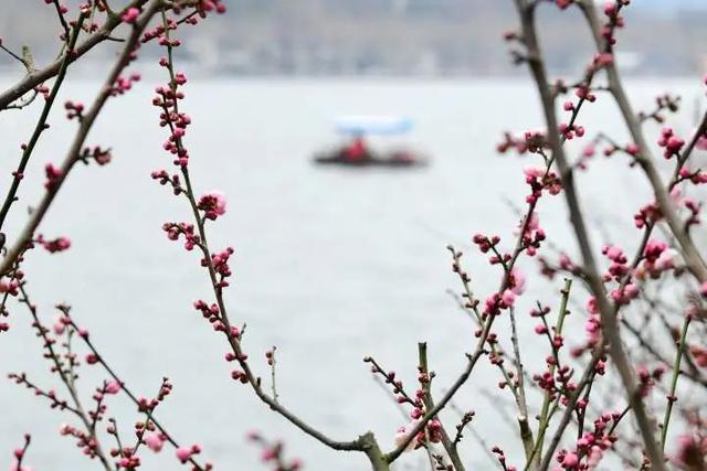 杭州天气气温曲线，就在这天，浙江天气大转折