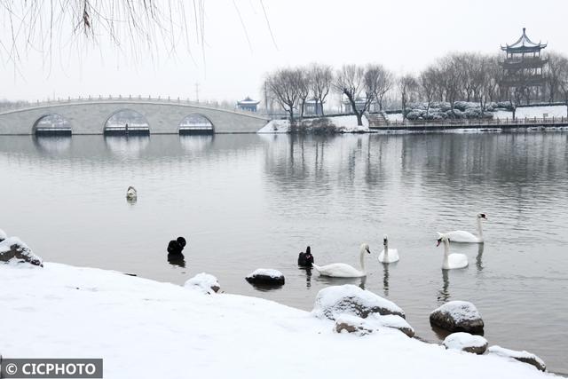 河北省保定市涞水县天鹅湖风景区，雪后天鹅湖美景如画