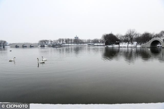 河北省保定市涞水县天鹅湖风景区，雪后天鹅湖美景如画