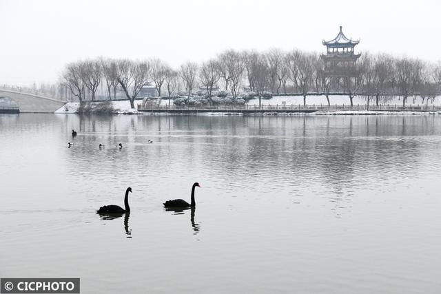 河北省保定市涞水县天鹅湖风景区，雪后天鹅湖美景如画