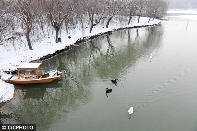 河北省保定市涞水县天鹅湖风景区，雪后天鹅湖美景如画