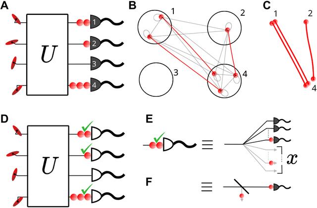 光量子计算模拟时间大幅缩短，量子计算和模拟的关系
