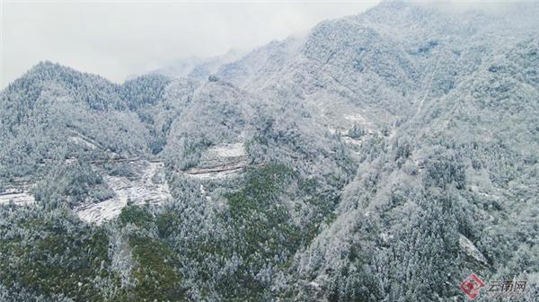 朱雀国家森林公园，陕西翠华山朱雀国家森林公园（玩转朱雀国家森林公园）