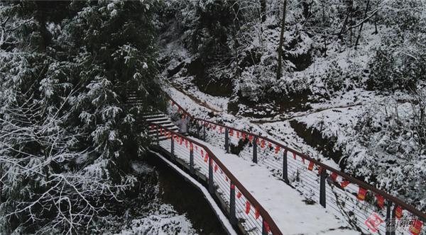 朱雀国家森林公园，陕西翠华山朱雀国家森林公园（玩转朱雀国家森林公园）