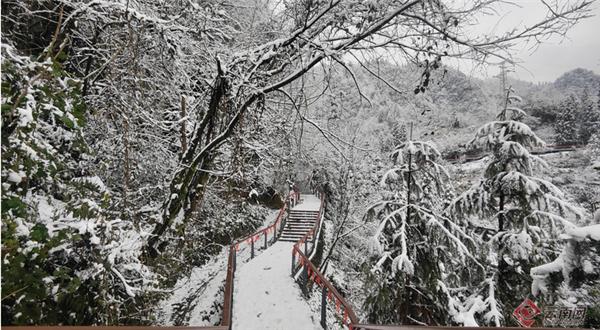 朱雀国家森林公园，陕西翠华山朱雀国家森林公园（玩转朱雀国家森林公园）