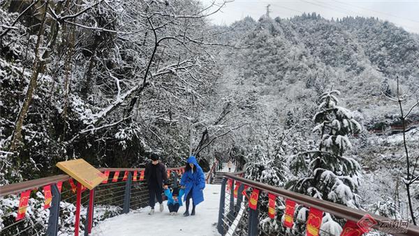 朱雀国家森林公园，陕西翠华山朱雀国家森林公园（玩转朱雀国家森林公园）