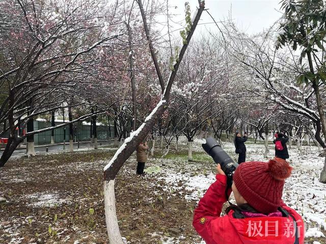 湖北冬季下雪最多的地方，湖北这里现夏日冰雪奇观