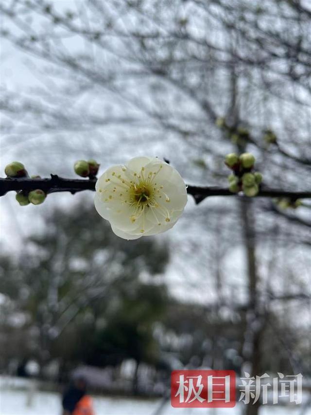 湖北冬季下雪最多的地方，湖北这里现夏日冰雪奇观