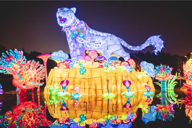 大唐芙蓉园玩元宵灯会说说，万盏花灯耀芙蓉,体验长安上元夜