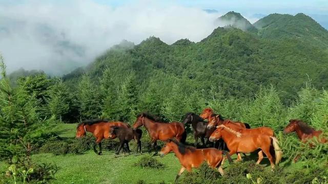 下一站旅行去哪里，下一站去哪儿都在这里了