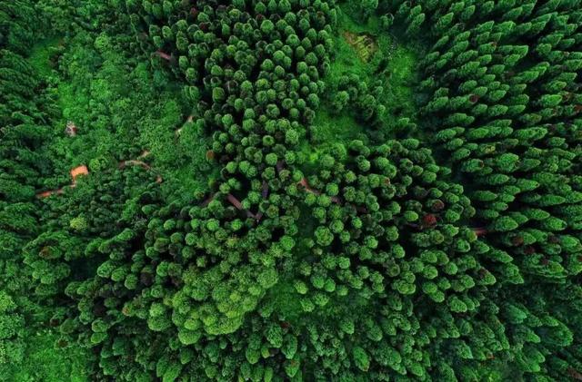 下一站旅行去哪里，下一站去哪儿都在这里了