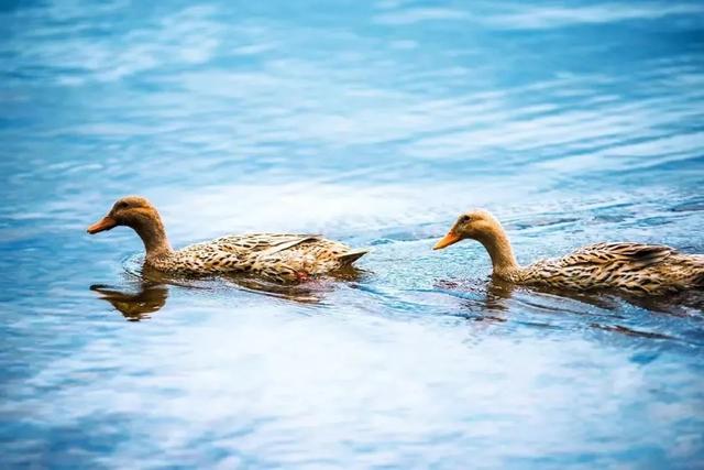 下一站旅行去哪里，下一站去哪儿都在这里了